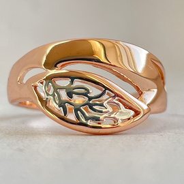 Кольцо F93100119-01 Кольцо F93100119-01