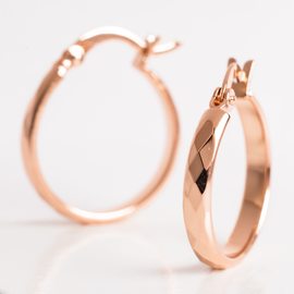 Серьги F82100306 Серьги F82100306