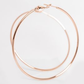 Серьги F82100332 Серьги F82100332