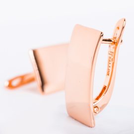 Серьги пластины F82100385