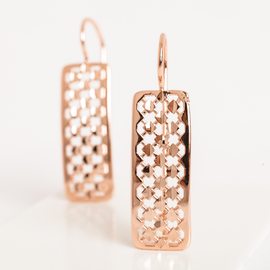 Серьги пластины F82100569