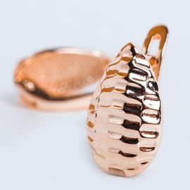 Серьги F82100761 Серьги F82100761