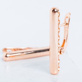 Серьги F82100820 Серьги F82100820