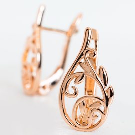 Серьги F82100822 Серьги F82100822