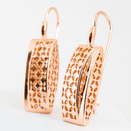 Серьги пластины F82100915