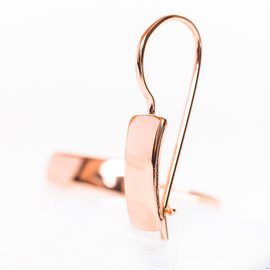 Серьги пластины F82100918