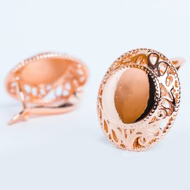 Серьги F82100948 Серьги F82100948