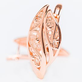 Серьги F82100989 Серьги F82100989