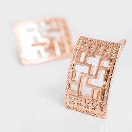 Серьги F82100993 Серьги F82100993