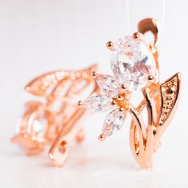 Серьги F82200640-01 Серьги F82200640-01