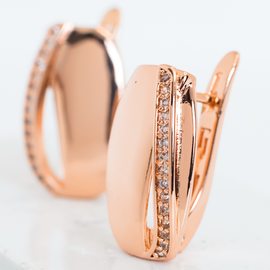 Серьги F82235008-01 Серьги F82235008-01