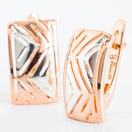 Серьги F92100570 Серьги F92100570
