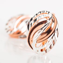 Серьги F92100600 Серьги F92100600