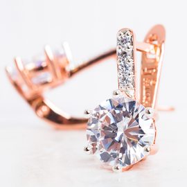 Серьги F92203392-01 Серьги F92203392-01