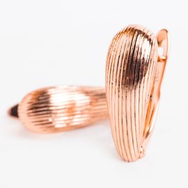 Серьги E1608