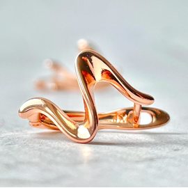 Серьги E2120