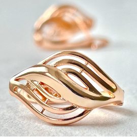 Серьги E2121