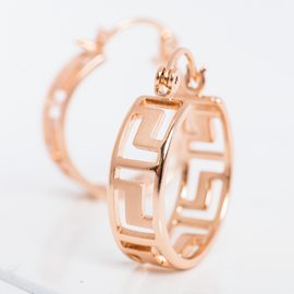 Серьги E50161