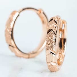 Серьги E6116