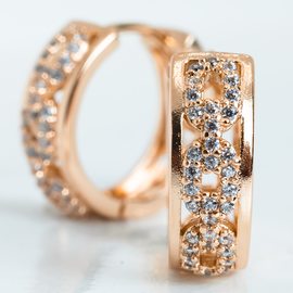 Серьги E6130
