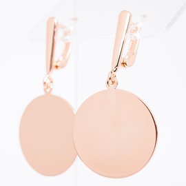 Серьги пластины F82100541