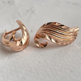 Серьги E1738