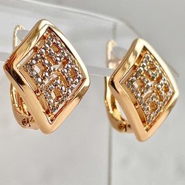 Серьги E16101