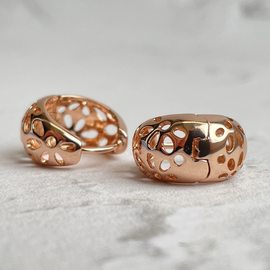 Серьги E1732