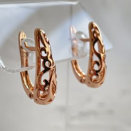 Серьги E1813