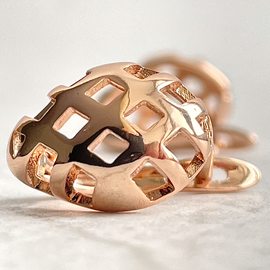 Серьги E1510