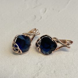 Серьги E1709