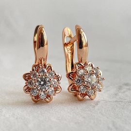 Серьги E1814