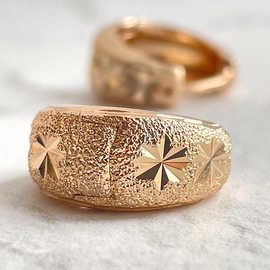 Серьги E1651